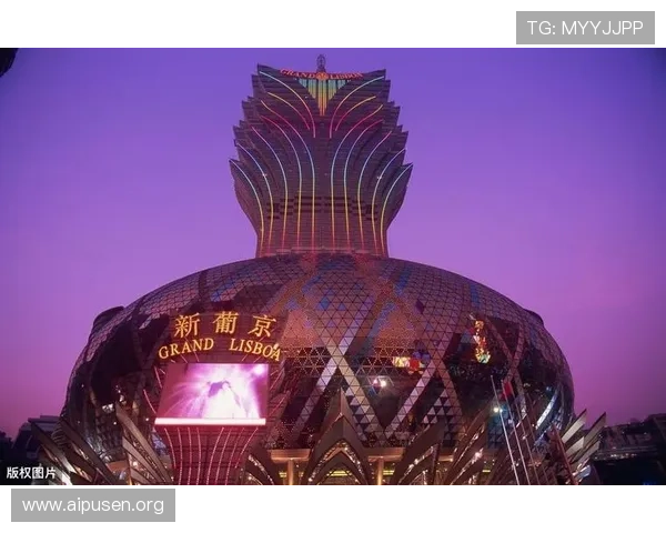 澳门新葡京国际入口全面介绍，涵盖游戏种类、充值方式及客户支持，满足玩家多样需求